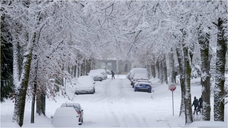 România, lovită de un ciclon polar înainte de Crăciun. ANM anunță ninsori, ploi și ger Fanatik.ro” „prefix”:”@ 