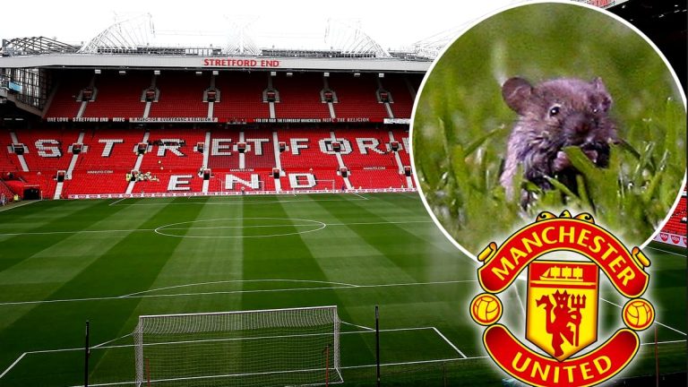 Dezastru pe toate planurile la Manchester United! Celebrul stadion „Old Trafford”, probleme mari din cauza șoarecilor Fanatik.ro” „prefix”:”@ 