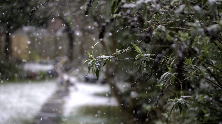 Cum va fi vremea în Ajun de Crăciun. ANM a emis mai multe alerte meteo de ninsori, viscol, dar și ploi în următoarele ore Fanatik.ro” „prefix”:”@ 