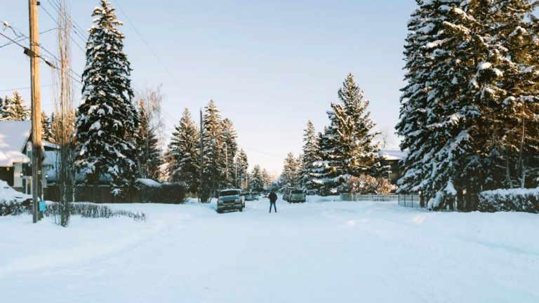 Unde vom avea zăpadă în România de la 1 ianuarie. Meteorologii EaseWeather anunță ca va fi la fel de abundentă ca în anii ’90 Fanatik.ro” „prefix”:”@ 