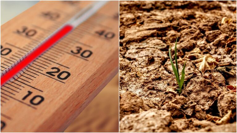 Anul 2024, cel mai cald din istoria României. Au fost temperaturi record și valuri de căldură persistente Fanatik.ro” „prefix”:”@ 