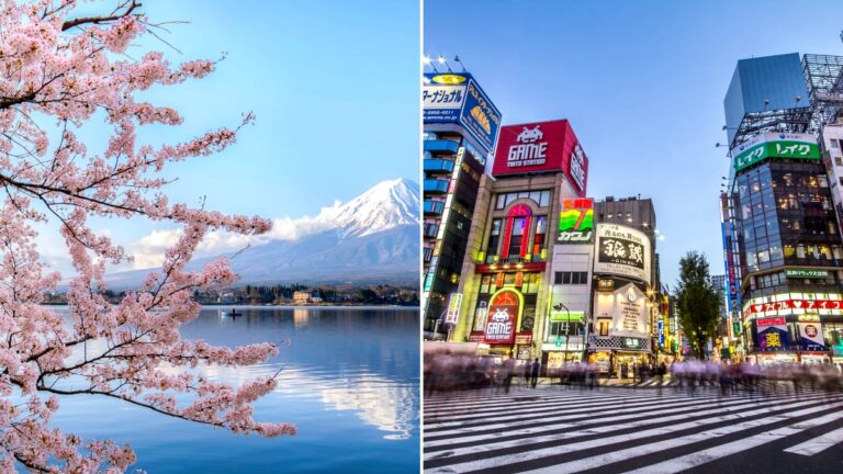 Regulile pe care trebuie să le respecți dacă mergi în Japonia. Greșeala care te poate face de râs într-un restaurant Fanatik.ro” „prefix”:”@ 